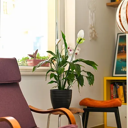 Appartement Mares *